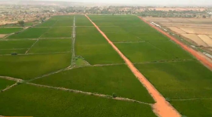Agrodev grande irrigation
