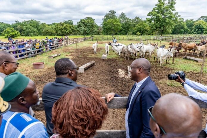agrodev.info-Le-VPM-Birahima-Ouattara-inaugure-le-Centre-dapplication-et-de-specialisation-en-elevage-bovin-de-Panya-a-Boundiali-le-4-juillet-2026