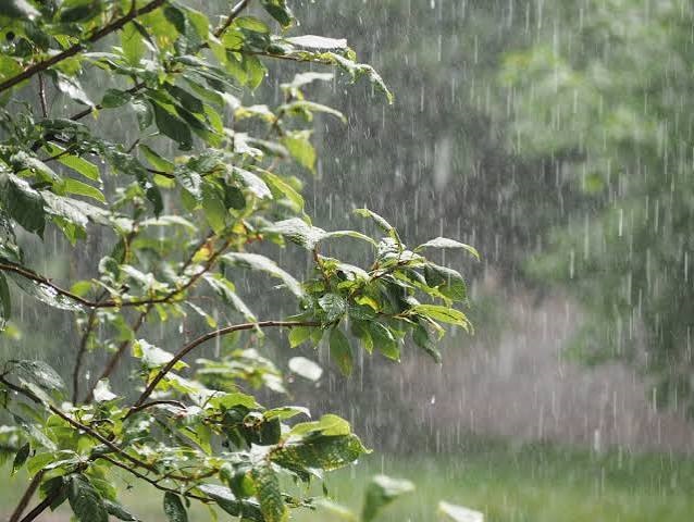 agrodev_Pluies