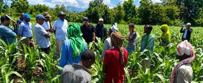 agrodev_ethiopia-_african_development_bank_group_and_japan-backed_partner