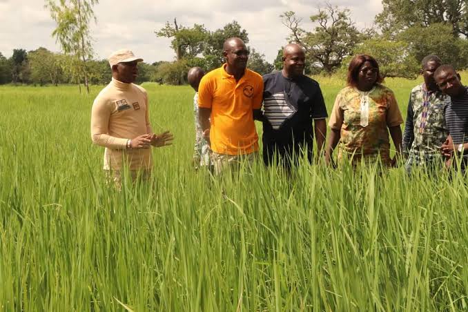 agrodevassurance agricole