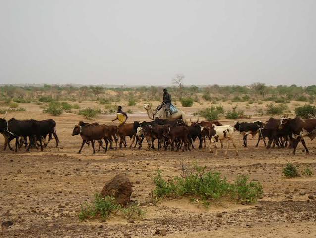 Pastorale