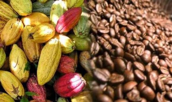 Prix café cacao