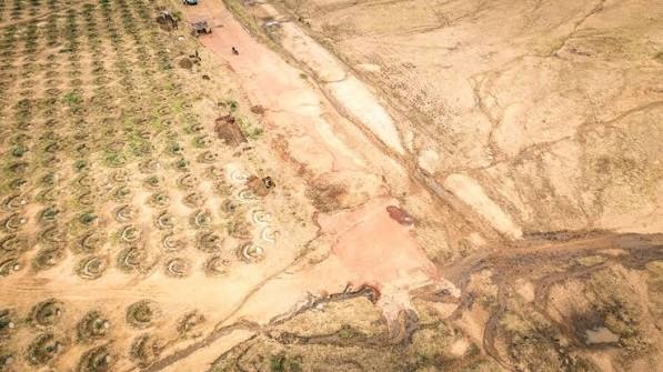 agrodev_PAM