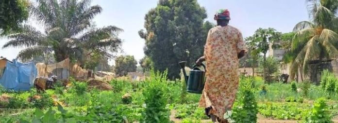 Agrodev agriculture