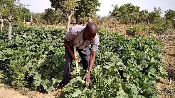 Agrodev-transformation agricole