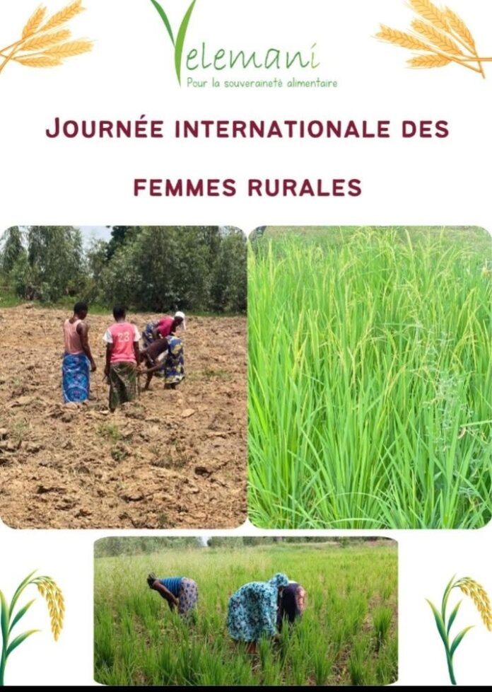 Agrodev_Yelemani
