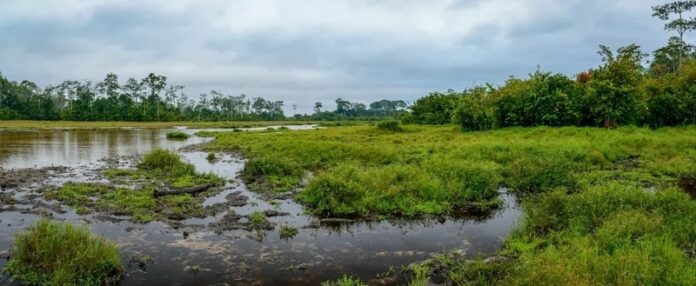 Agrodev_cop17_biodiversity_paradox-fr