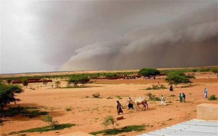 Agrodev_saison des pluies